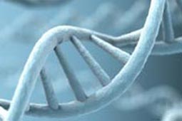 网络ddos监测分析工具